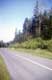 Route dans la forêt / USA, Virginie, Smokey Mountains, Blue Ridge Parkway, Shenandoah national park
